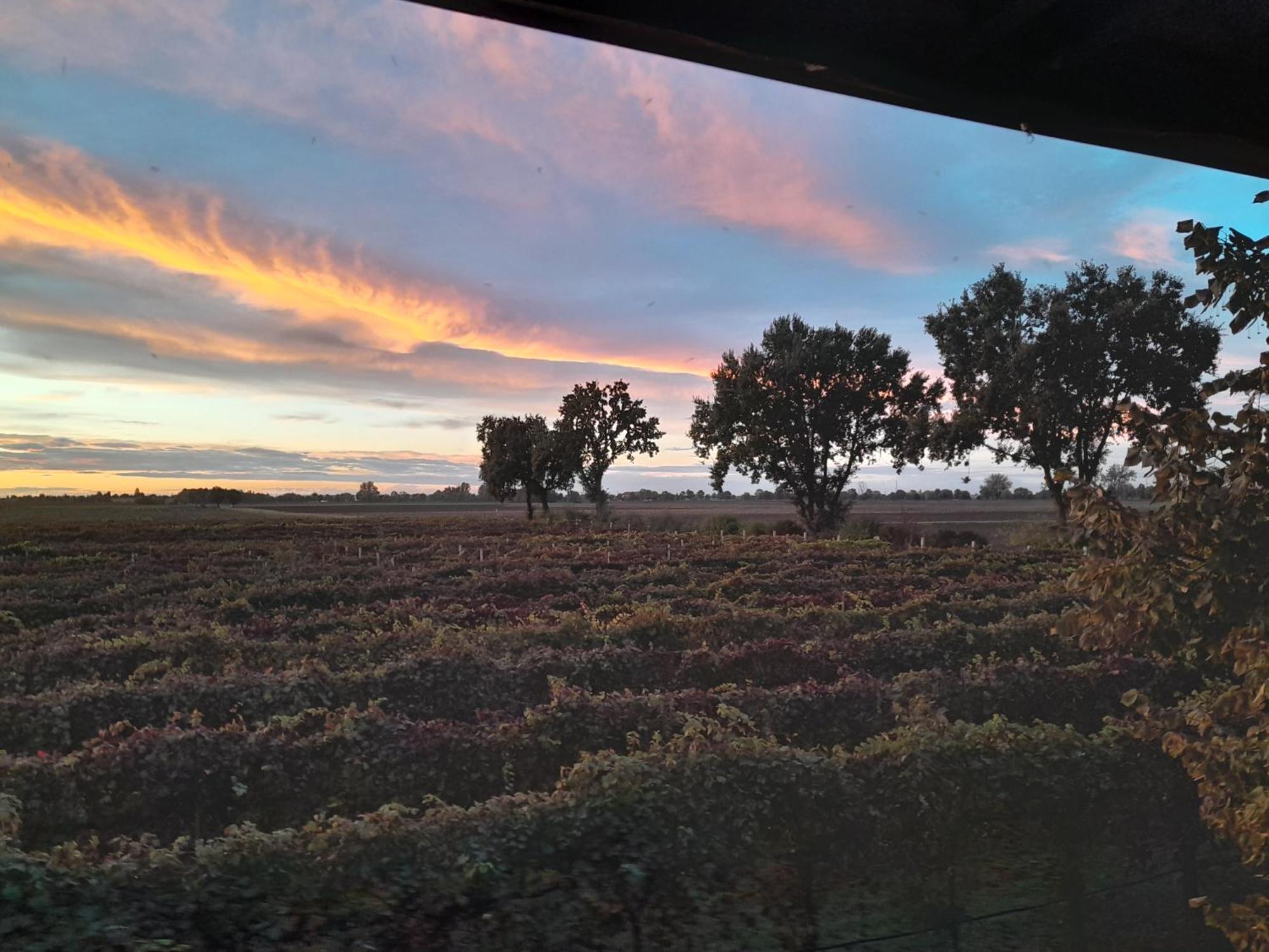 Agriturismo Casa Carpanelli Nonantola Ngoại thất bức ảnh