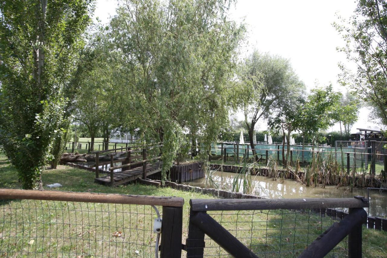 Agriturismo Casa Carpanelli Nonantola Ngoại thất bức ảnh